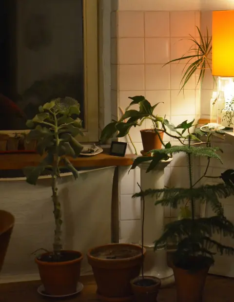 Home body